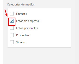 clasificar por categorías la biblioteca de wordpress