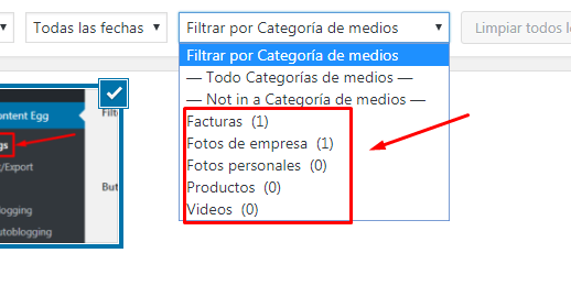 ¿CÓMO CLASIFICAR LAS IMÁGENES EN EL ESCRITORIO DE WORDPRESS RÁPIDAMENTE? 1