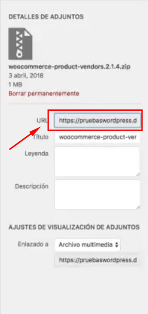 colocar un botón de descarga en wordpress