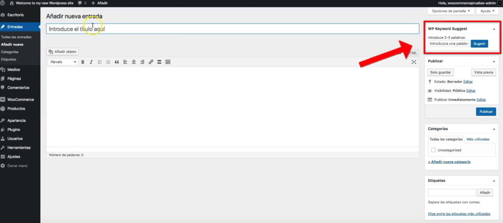 plugin wordpress palabras clave textos