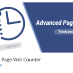 ✅Contador de Visitas en el Front End de WordPress