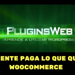 ✅ EL CLIENTE PAGA LO QUE QUIERE ➡️ NAME YOUR PRICE WOOCOMMERCE