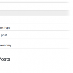 ✅WP Show Posts WordPress Plugin