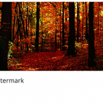 ✅Image Watermark – Agrega Marcas de Agua a tus Imágenes de WordPress