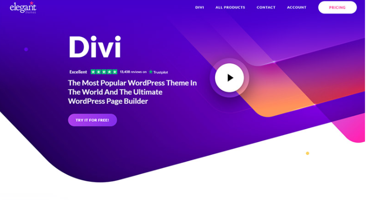 divi wordpress theme