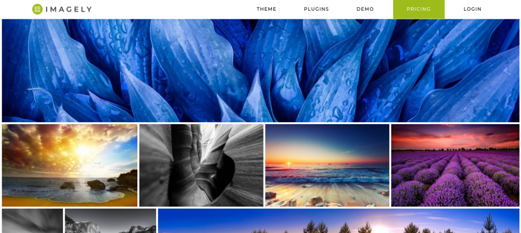 imagely wordpress