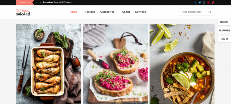 soledad wordpress theme