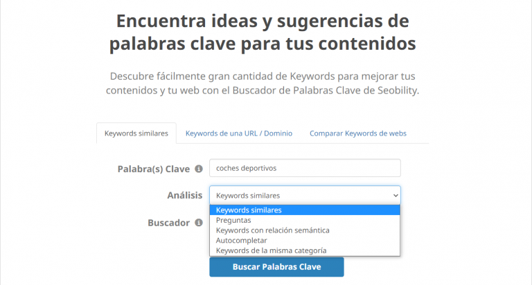Buscador-de-palabras-clave-Seobility-keywords-similares