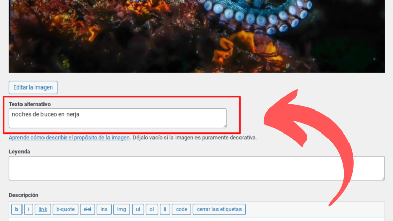 autorellenar-atributo-alt-texto-alternativo-wordpress-sin-plugins