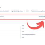 ✅ PDF Condicional Descargable en Página de Gracias en Woocommerce (Sin Plugins)