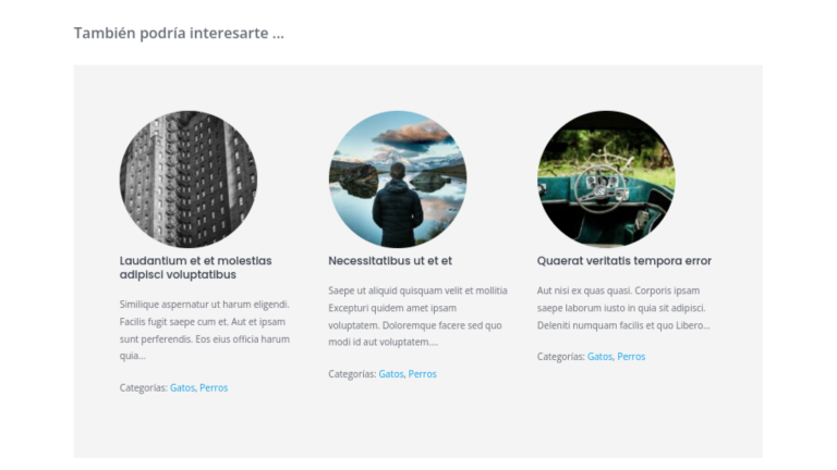 entradas relacionadas wordpress sin plugins
