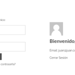 ✅Creando un Widget Personalizado de Acceso en WordPress (Sin Plugins)