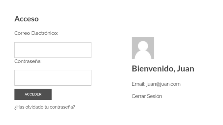 Creando un widget personalizado de acceso en wordpress