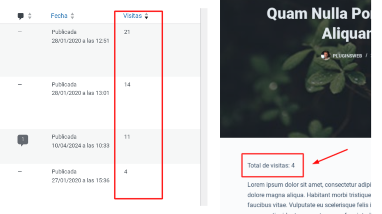 agregar contador de visitas front end wordpress sin plugins