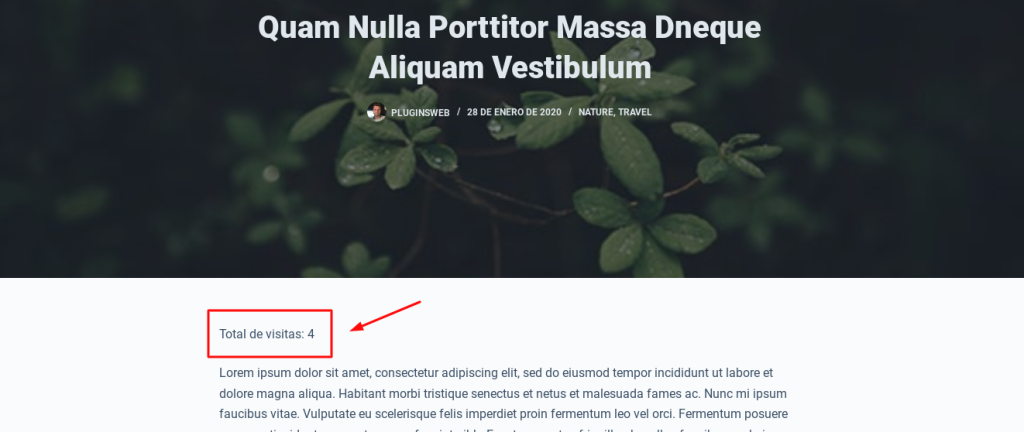 ➡️Premium: Maximizando la Interacción en tu Blog: Cómo Registrar y Visualizar Visitas 1