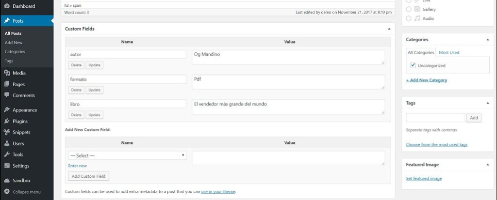 post meta wordpress