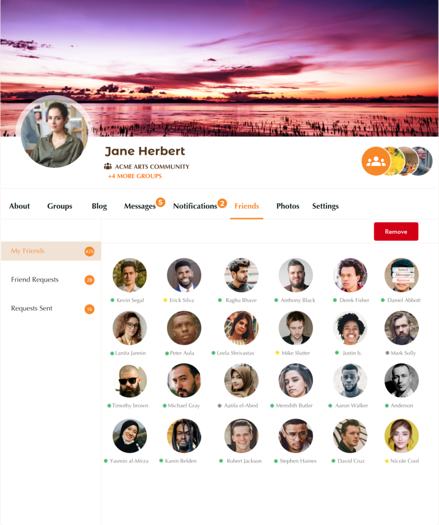 amigos ProfileGrid – User Profiles, Groups and Communities