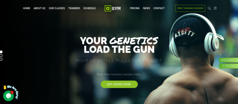 gimnasio wordpress avas