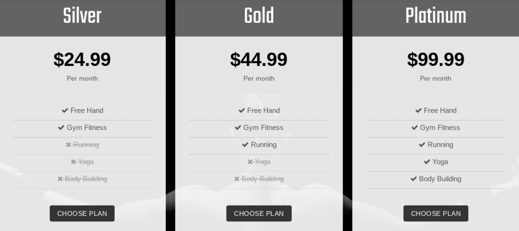 gym wordpress planes precios