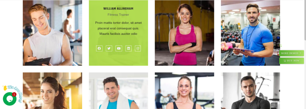 monitores gimnasio wordpress