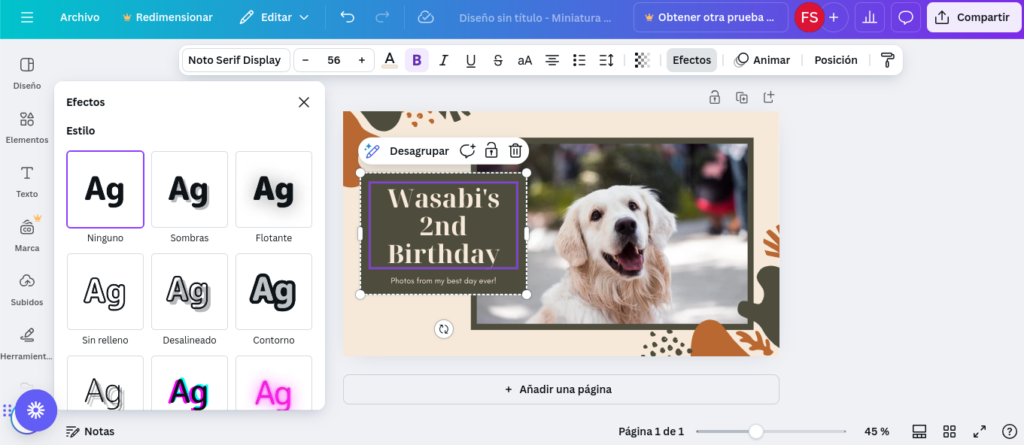 efectos canva.com