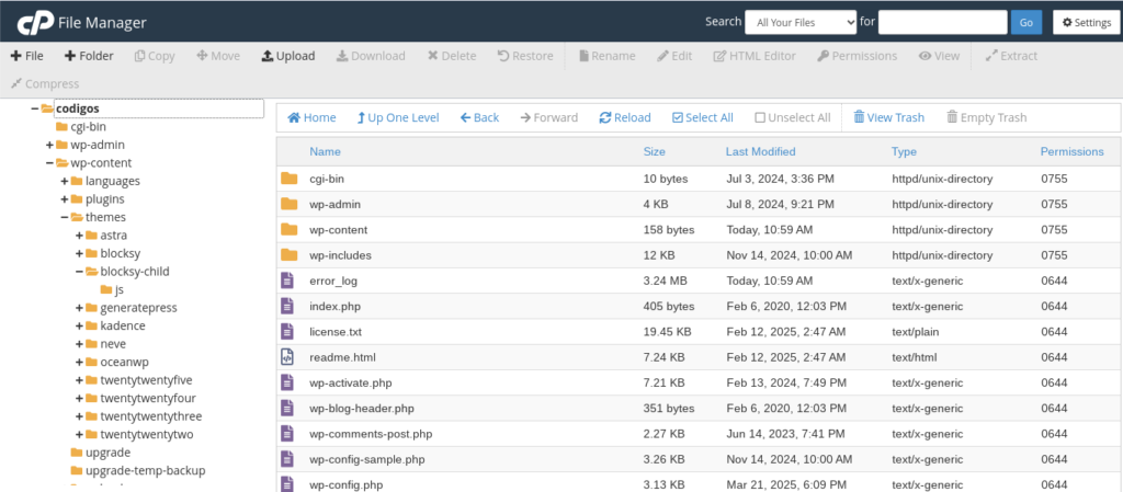 file manager cpanel administrador de archivos