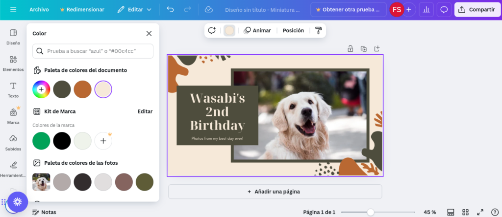 paleta de colores canva.com