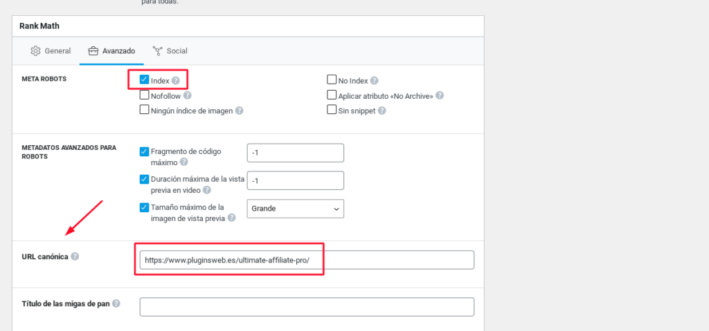 url canonical seo etiquetas wordpress