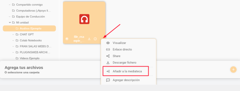 use your drive biblioteca de medios wordpress