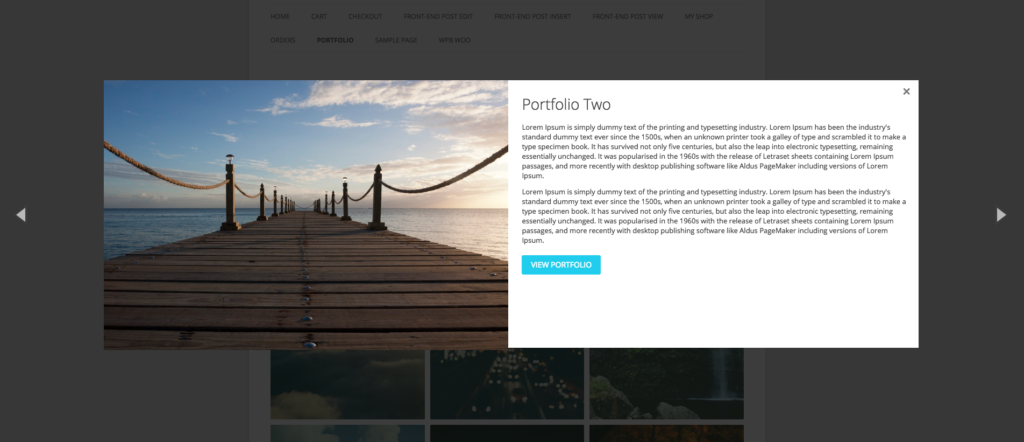 wordpress plugin Advance Portfolio Grid, Slider and Gallery – Showcase Projects, Images and Videos