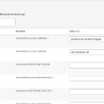 🔐 Fran Salas ALT Assistant: Añade Texto Alternativo a tus Imágenes desde un Solo Panel