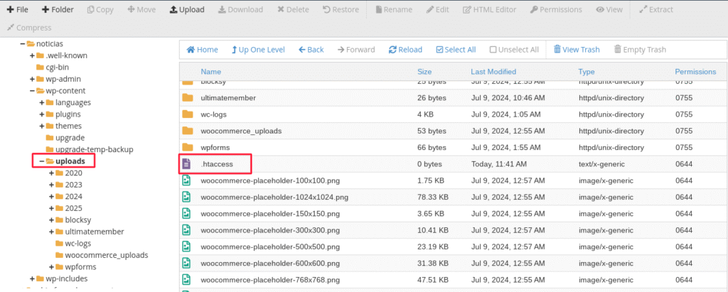 proteger carpeta uploads wordpress