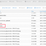 ✅Protege tu Carpeta de Subidas en WordPress: Solo Imágenes, PDFs, nada de Scripts